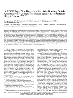 A CCCH-Type Zinc Finger Nucleic Acid-Binding