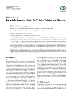 Intra-Golgi Transport: Roles for Vesicles, Tubules, and Cisternae