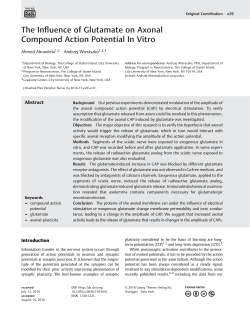 The Influence of Glutamate on Axonal Compound Action Potential In