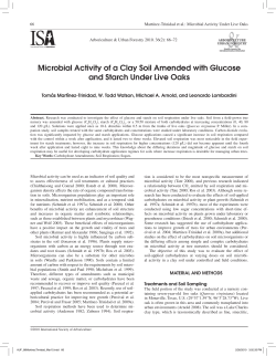 Microbial Activity of a Clay Soil Amended with Glucose and Starch