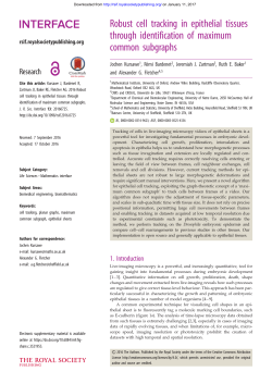 Robust cell tracking in epithelial tissues through identification of
