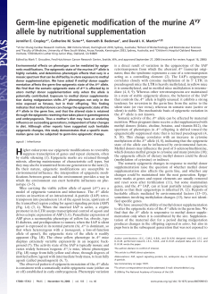 Germ-line epigenetic modification of the murine A allele by