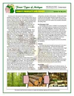 forest products and prices