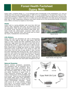 Forest Health Factsheet Gypsy Moth