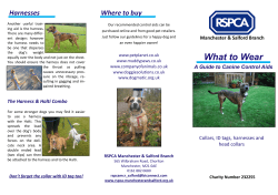 Harnesses Where to buy - Manchester and Salford RSPCA