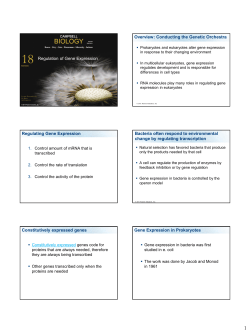 Ch 18 Genetic regulation updated