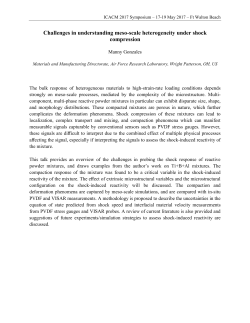 Challenges in understanding meso-scale heterogeneity - UF-REEF