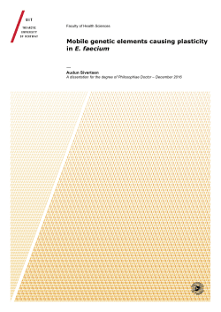 Mobile genetic elements causing plasticity in E. faecium - Munin