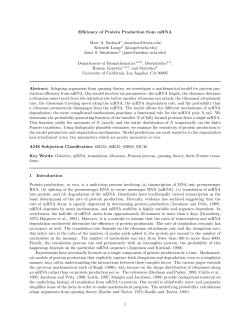 Efficiency of protein production from mRNA