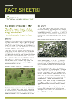 Poplars and Willows as Fodder