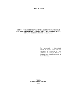 efeitos do diabetes experimental sobre a morfologia