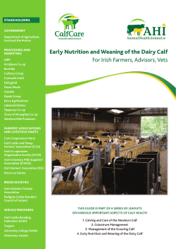 Early Nutrition and Weaning of the Dairy Calf