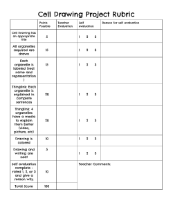 Cell Drawing Project Rubric