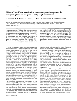 Effect of the alfalfa mosaic virus movement protein expressed in