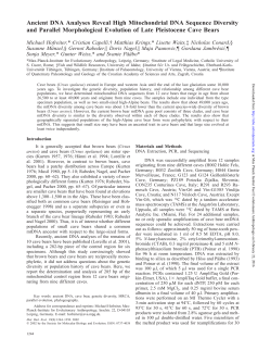 Ancient DNA Analyses Reveal High Mitochondrial DNA Sequence