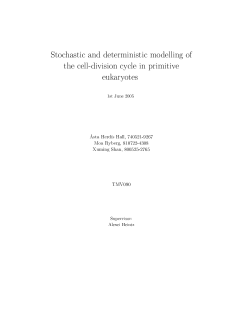 Stochastic and deterministic modelling of the cell-division