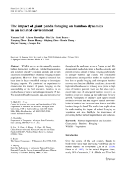 The impact of giant panda foraging on bamboo