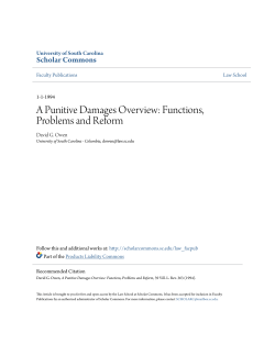 A Punitive Damages Overview: Functions