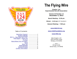 The Flying Wire