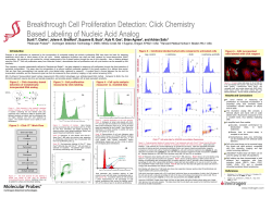 Click Chemistry Based Labeling of Nucleic Acid Analog