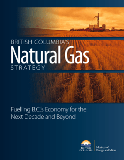 Natural Gas Strategy - Province of British Columbia