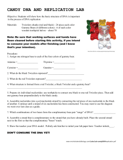 Candy DNA and Replication Lab