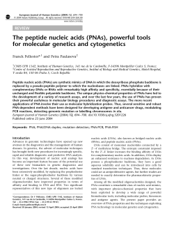 The peptide nucleic acids (PNAs), powerful tools - Bio