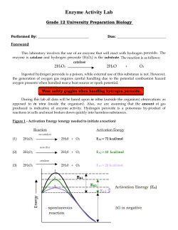 Enzyme Lab - WordPress.com