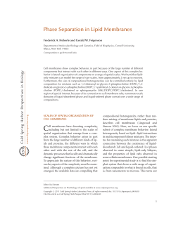 Phase Separation in Lipid Membranes - Feigenson Lab
