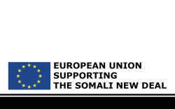 European Union Supporting the Somali New Deal - EEAS