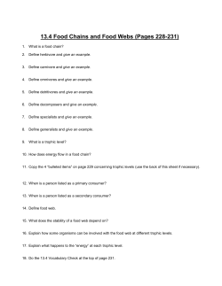 13.4 Food Chains and Food Webs (Pages 228-231)