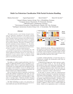 Multi-Cue Pedestrian Classification With Partial