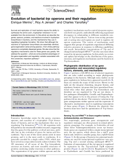 Evolution of bacterial trp operons and their regulation