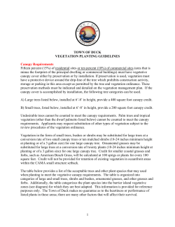 TOWN OF DUCK VEGETATION PLANTING GUIDELINES Canopy