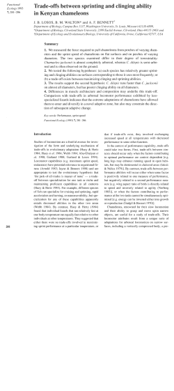 Trade-offs between sprinting and clinging ability in