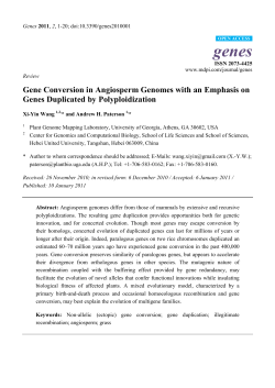Full-Text PDF