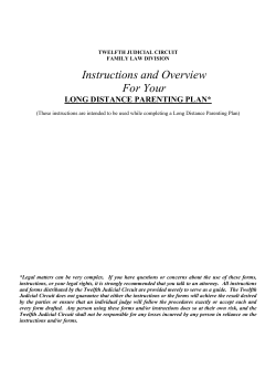 Long Distance Parenting Plan and Instructions