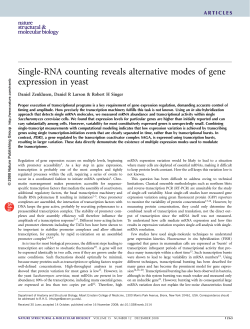 Single-RNA counting reveals alternative modes of gene expression