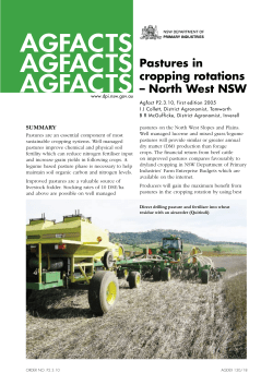Pastures in cropping rotations &ndash; North West NSW