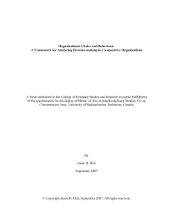 Organizational Choice and Behaviour: A Framework for Analyzing