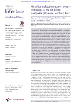 beak - Journal of The Royal Society Interface