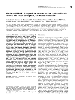 Matriptase/MT-SP1 is required for postnatal survival
