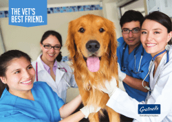 The Vet`s best friend.