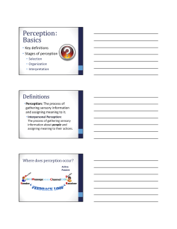 Perception Basics :