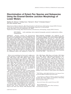 Discrimination of extant Pan species and subspecies using the
