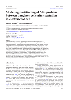 Modeling partitioning of Min proteins between daughter cells after