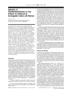 Hydrolysis of Poly (dimethylsiloxanes) on Clay Minerals As