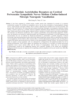 7-Nicotinic Acetylcholine Receptors on Cerebral Perivascular