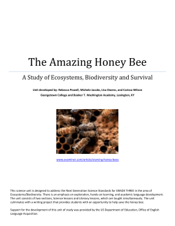 The Amazing Honey Bee &ndash;Unit Interdependent Relationships in