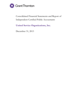 2013 Financial Statement